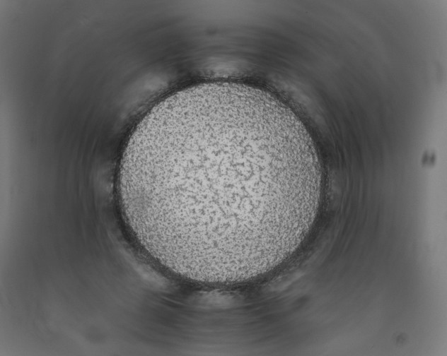 X0000091860545200710031703