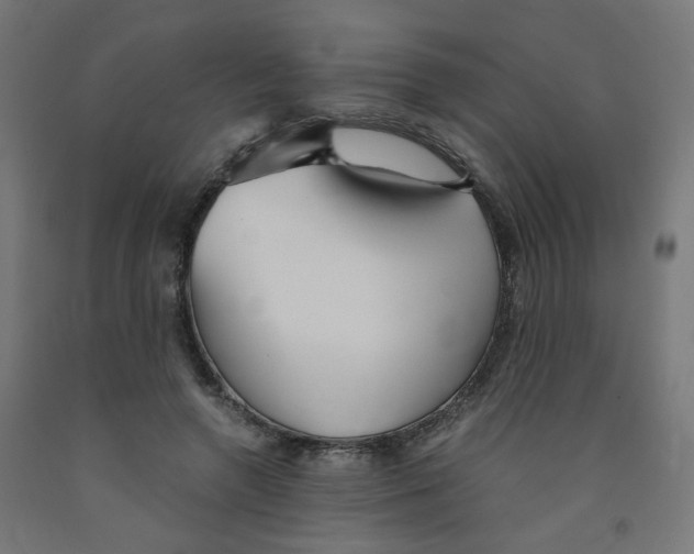 X0000091860546200710031703