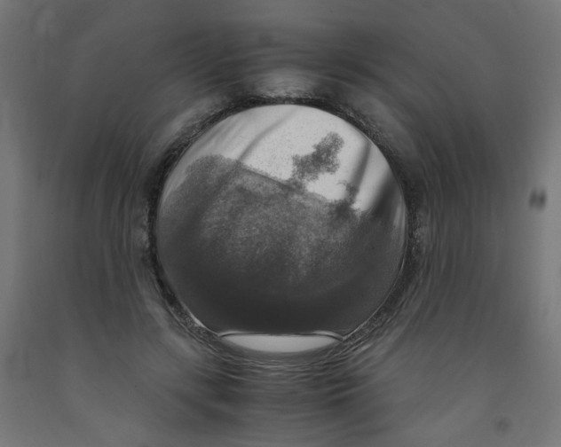 X0000091860547200710031703