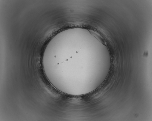 X0000091860548200710031703