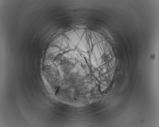 X0000091860549200710031703