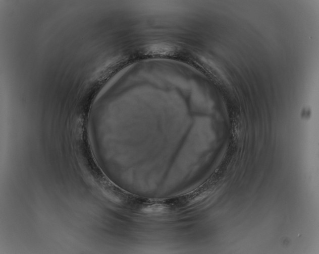 X0000091860551200710031703