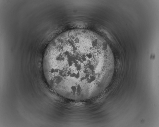 X0000091860553200710031703