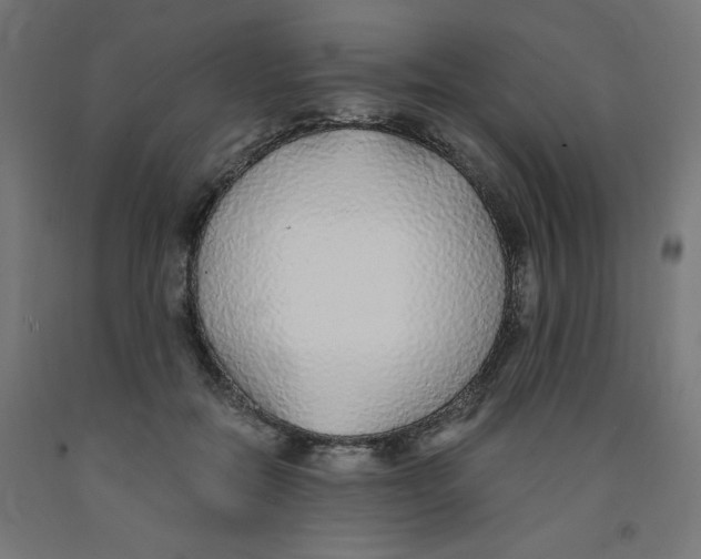 X0000091860554200710031703