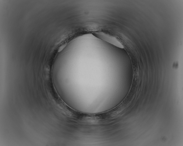 X0000091860556200710031703