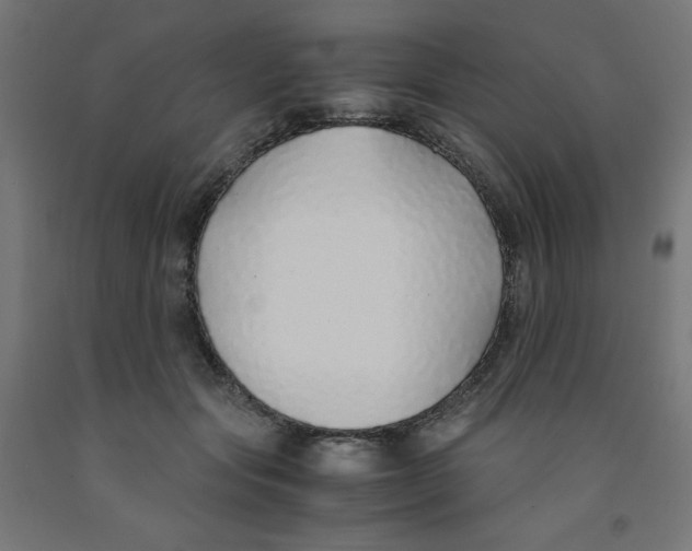 X0000091860557200710031703