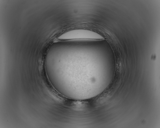 X0000091860558200710031703