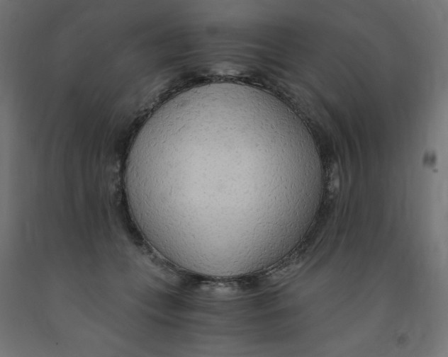 X0000091860559200710031703