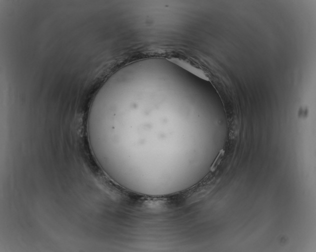 X0000091860560200710031703