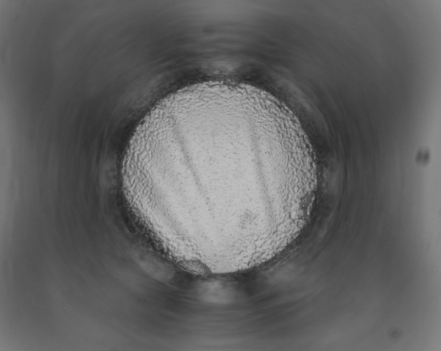 X0000091860561200710031703