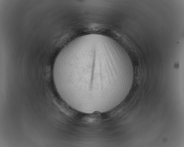 X0000091860563200710031703