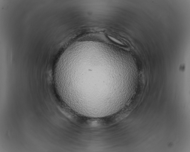 X0000091860564200710031703