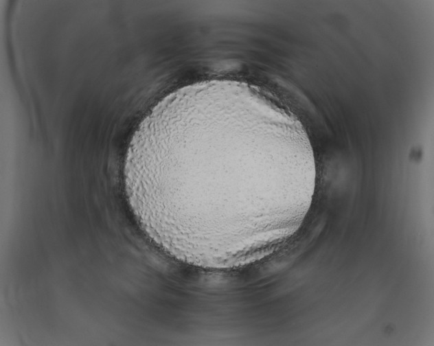 X0000091860565200710031703