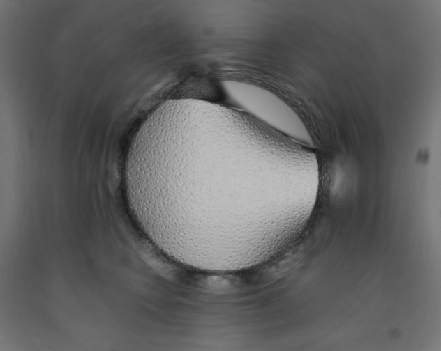 X0000091860566200710031703