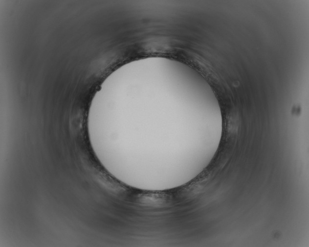 X0000091860567200710031703