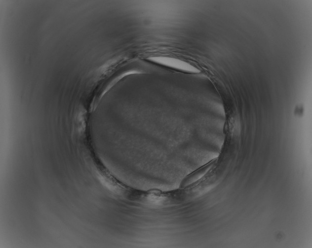 X0000091860570200710031703