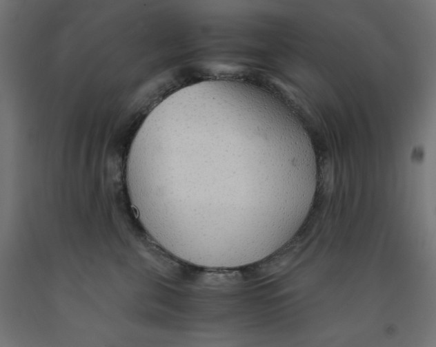 X0000091860571200710031703