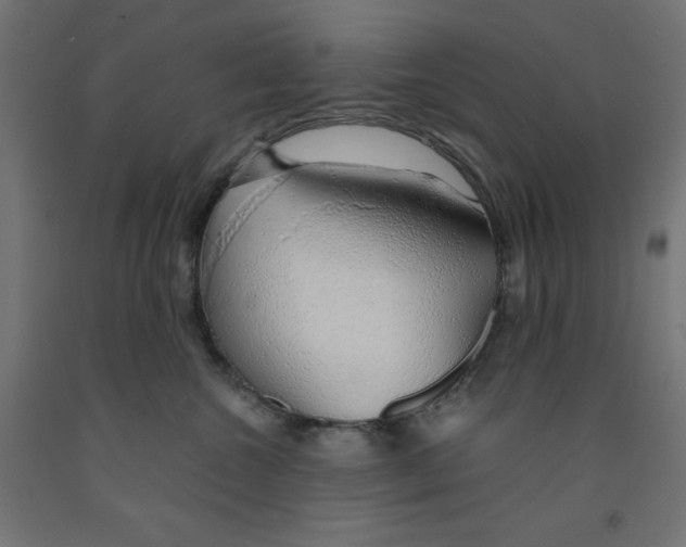 X0000091860572200710031703