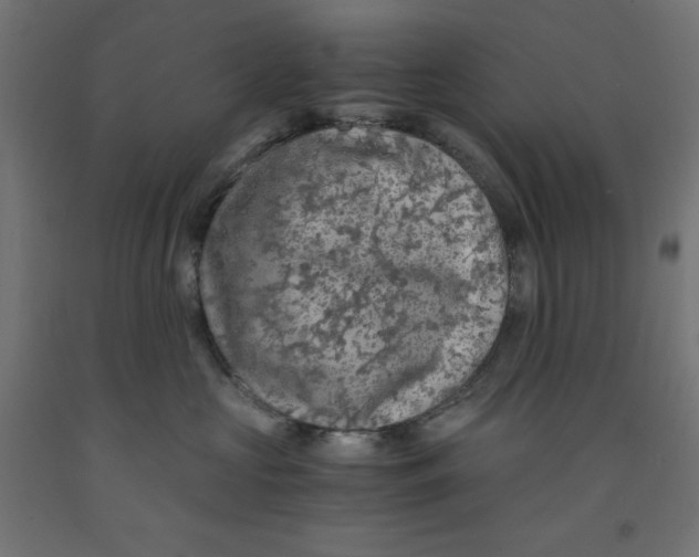 X0000091860573200710031704