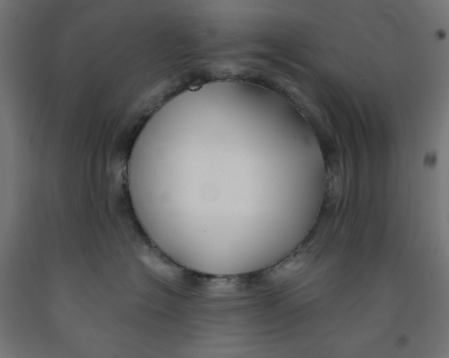 X0000091860574200710031704