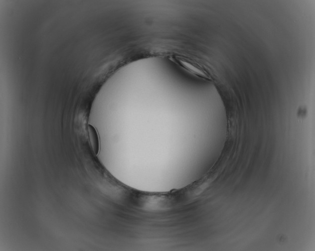 X0000091860575200710031704