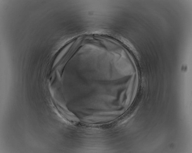 X0000091860577200710031703