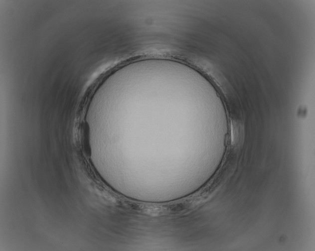 X0000091860579200710031703