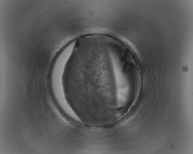 X0000091860581200710031703