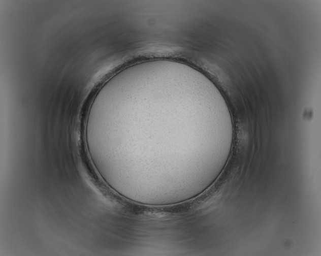 X0000091860582200710031703