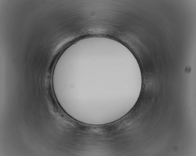 X0000091860583200710031703