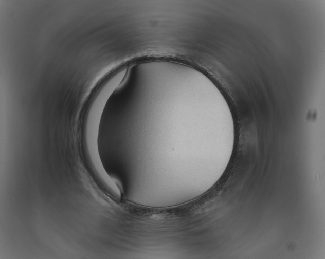 X0000091860584200710031703