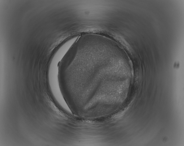 X0000091860585200710031703