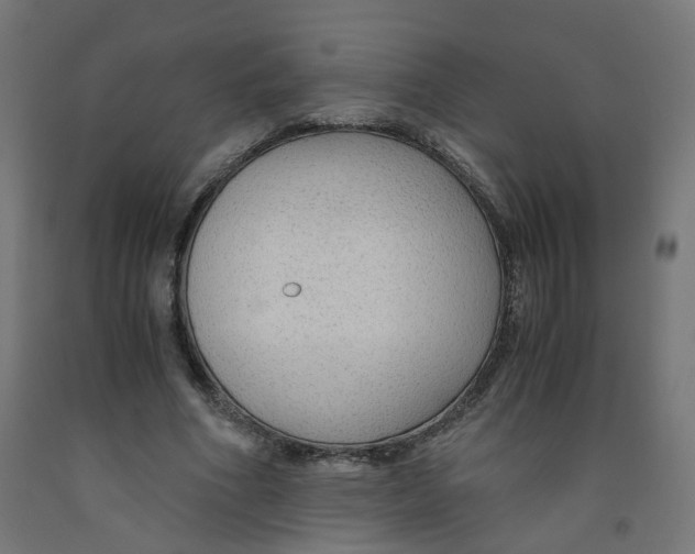 X0000091860586200710031703