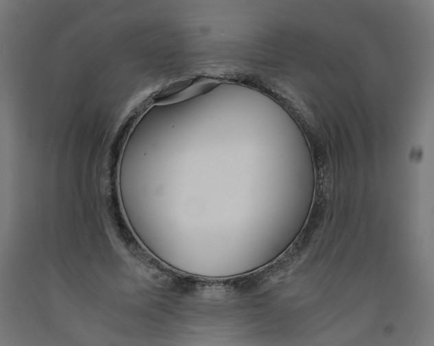 X0000091860587200710031703