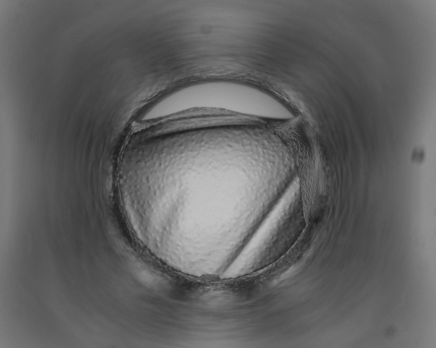 X0000091860589200710031703