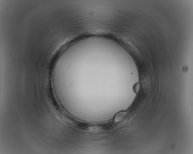 X0000091860591200710031703