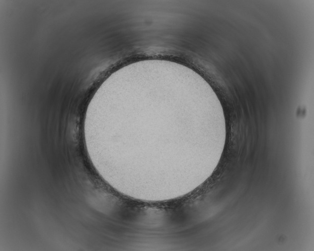 X0000091860592200710031703