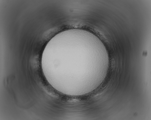 X0000091860594200710031703