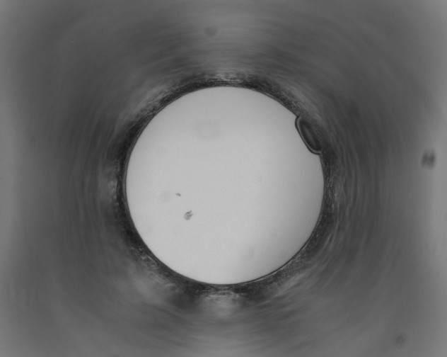 X0000091860595200710031703