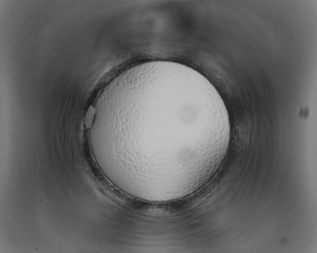 X0000091860596200710031703