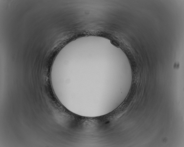 X0000091860599200710031703