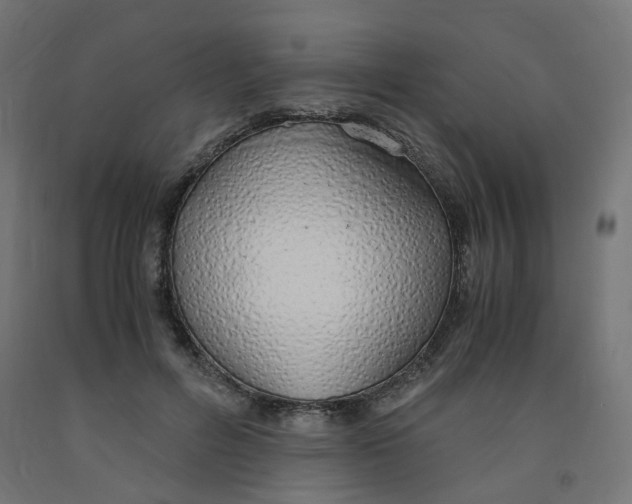 X0000091860600200710031703