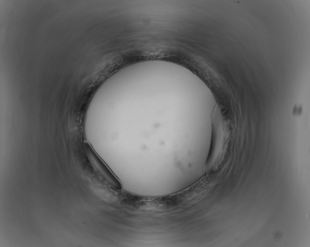 X0000091860601200710031703