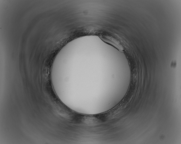 X0000091860605200710031703