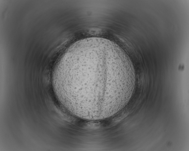 X0000091860606200710031703