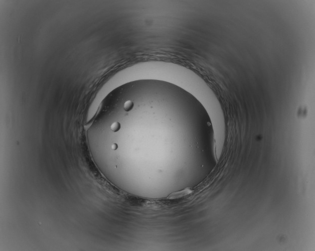 X0000091860608200710031703