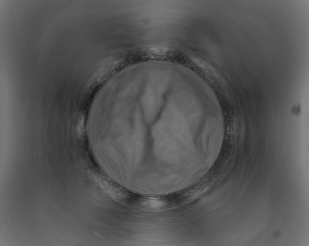 X0000091860610200710031703