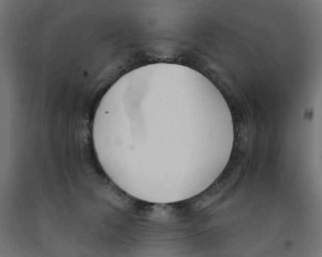 X0000091860612200710031703