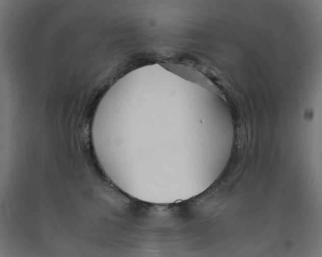 X0000091860613200710031702