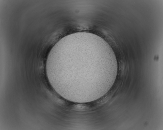 X0000091860614200710031702